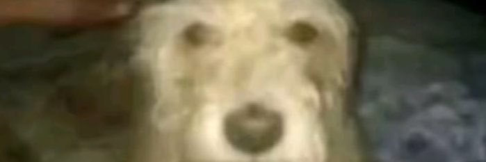 justc4mm's profile banner image