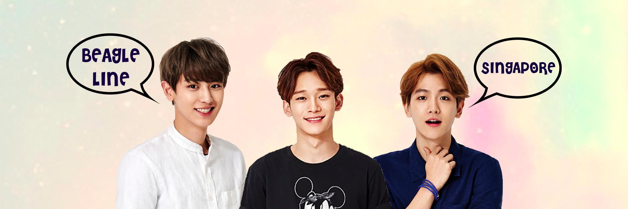 beaglelinedotsg's profile banner image