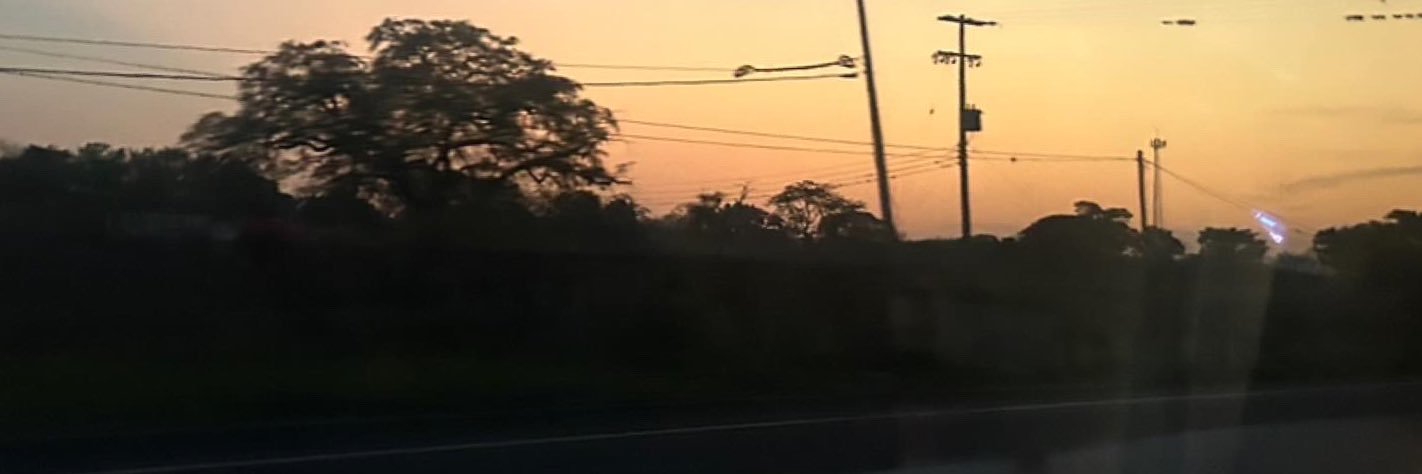 usalicia9's profile banner image
