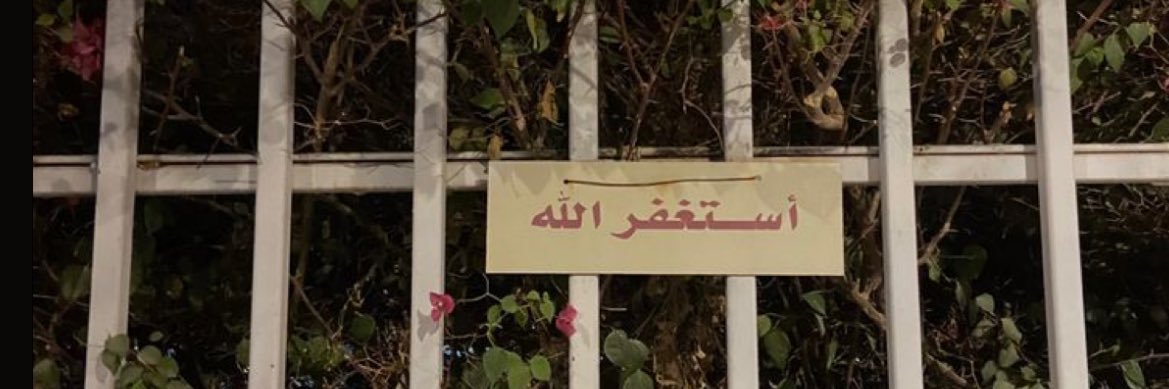 AREEJ banner