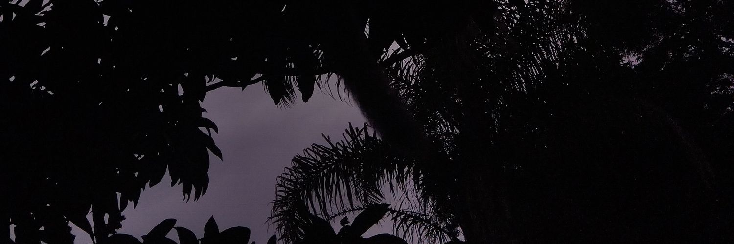 ᥣｅ banner