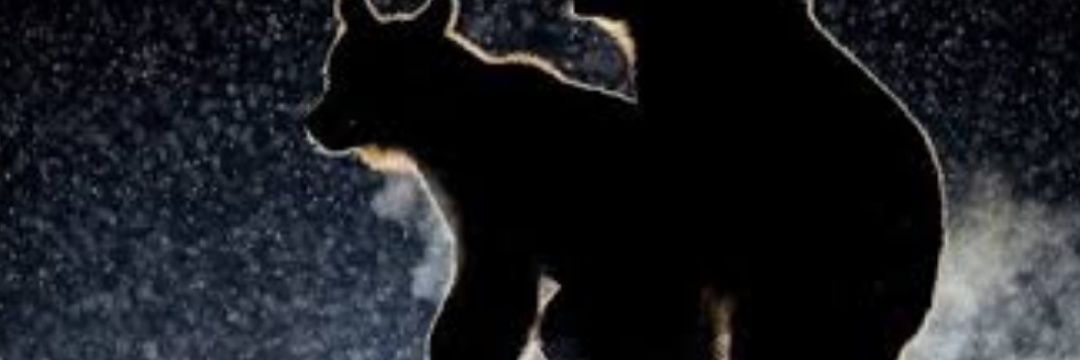 zitya_'s profile banner image