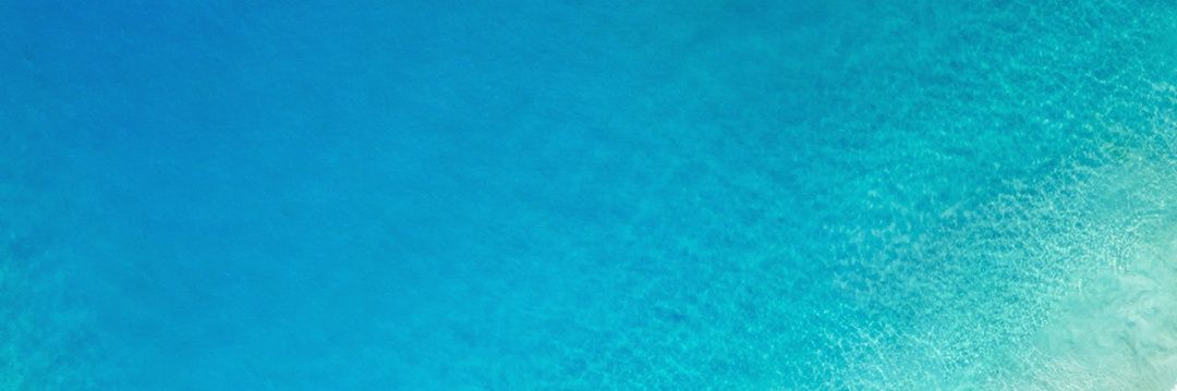 chechuviscomi's profile banner image