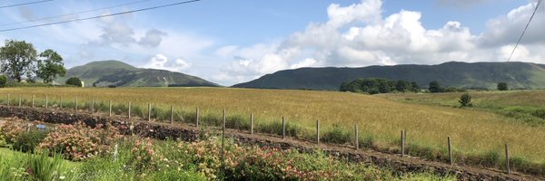 JonBolton Profile Banner