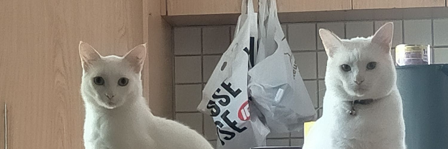 MoparKurtW's profile banner image