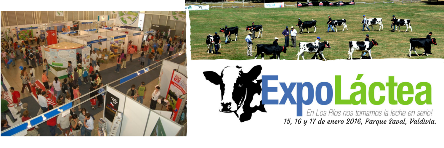 EXPOLACTEACHILE's profile banner image