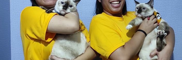 rawrCalen's profile banner image