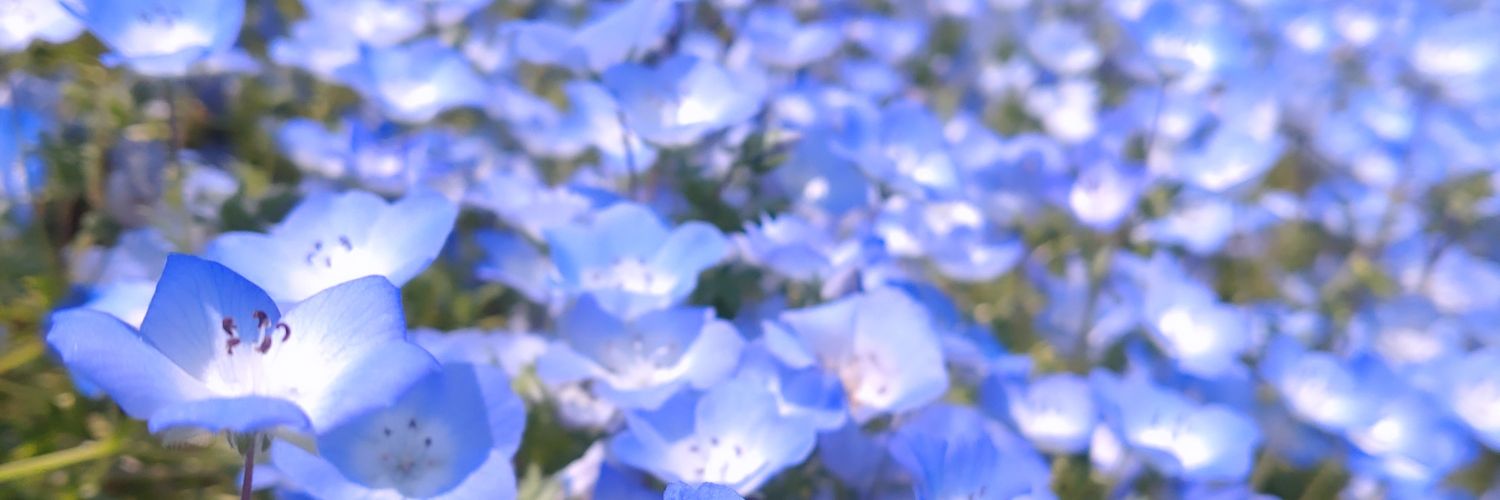 pakichoco's profile banner image