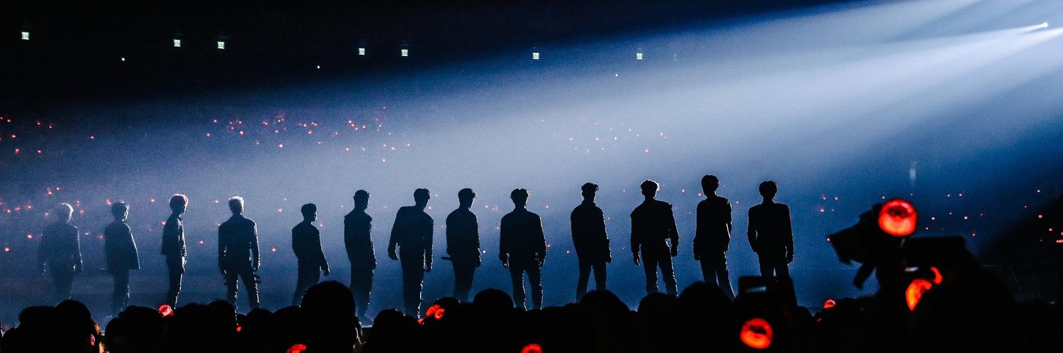bear_4131256's profile banner image