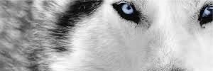 JagoMoran's profile banner image