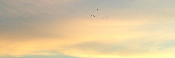 ididitsmyfault Profile Banner