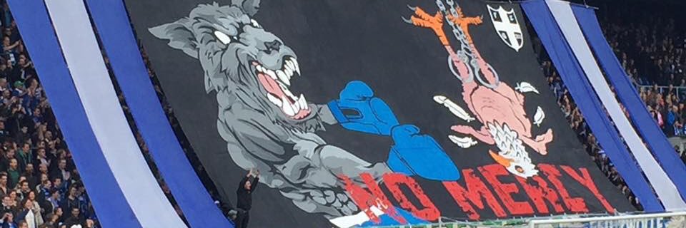 Peperbuskruit's profile banner image