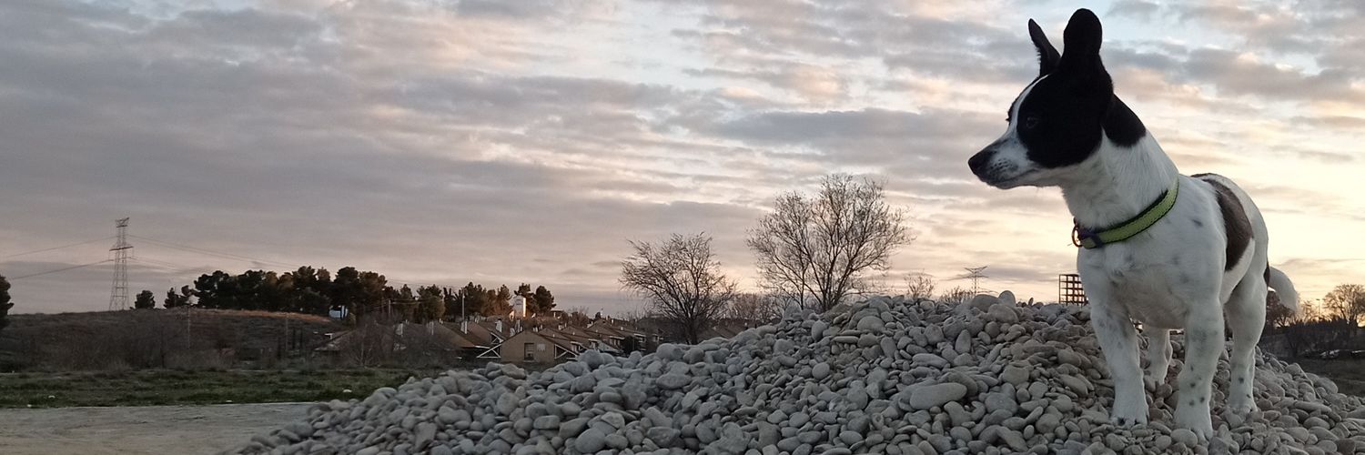 Ceelliiaa_'s profile banner image