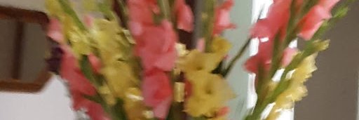 EviesToolEmporium banner