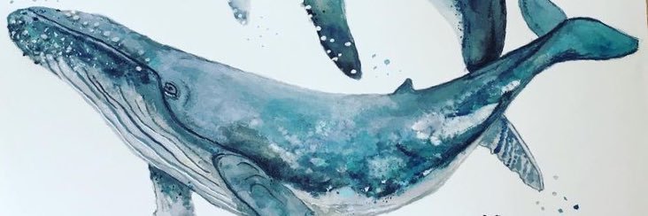 Uri8ko's profile banner image