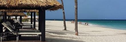 Mike Holeyfield banner