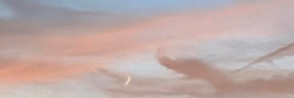 mint_yc6002 Profile Banner