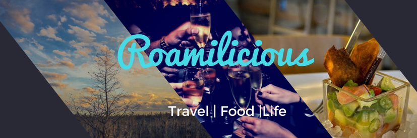 Roamilicious banner