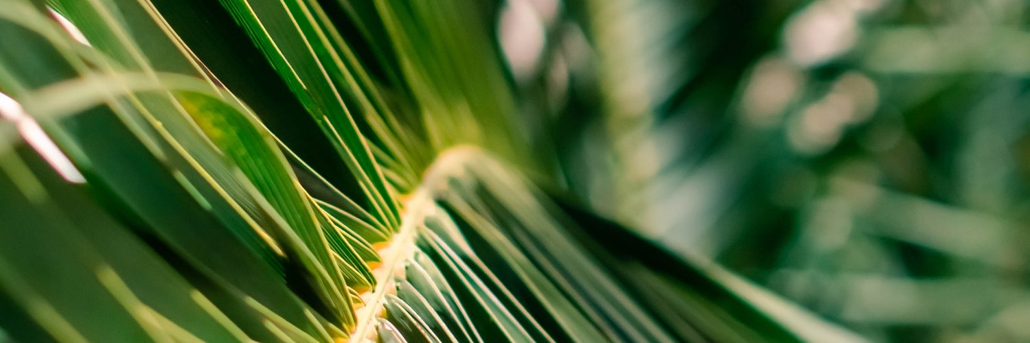 Le_Veritable's profile banner image