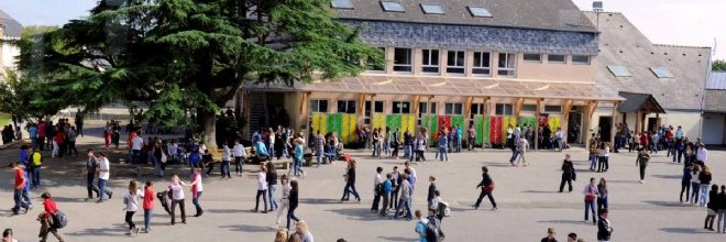 P'tit chef d'campagne banner