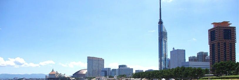 NPO法人Chou・chou(シュシュ) banner