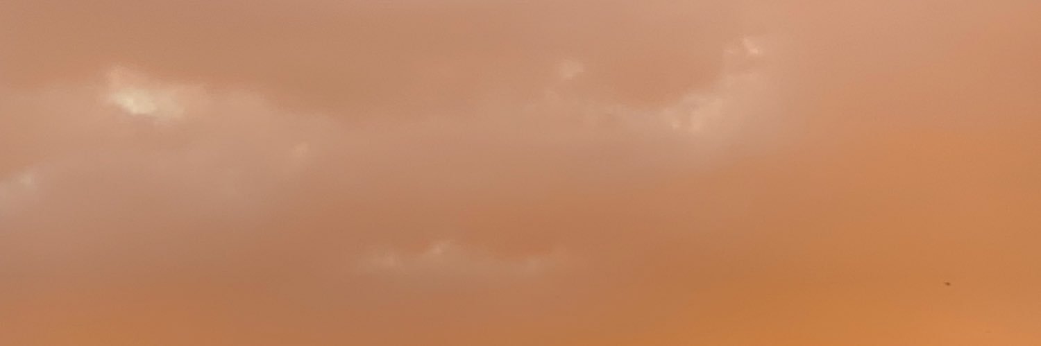 Quantum_Lori's profile banner image