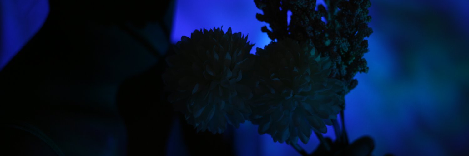 mililiver's profile banner image