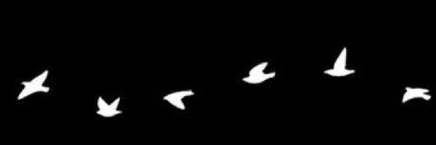1__mk's profile banner image