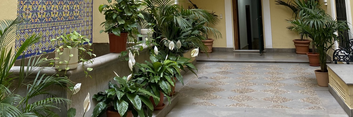 academiasevillananotariado banner