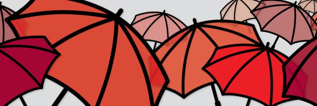 NSWP's banner