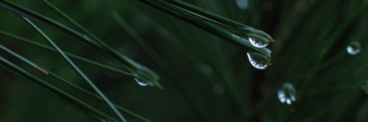 Paxsim's profile banner image