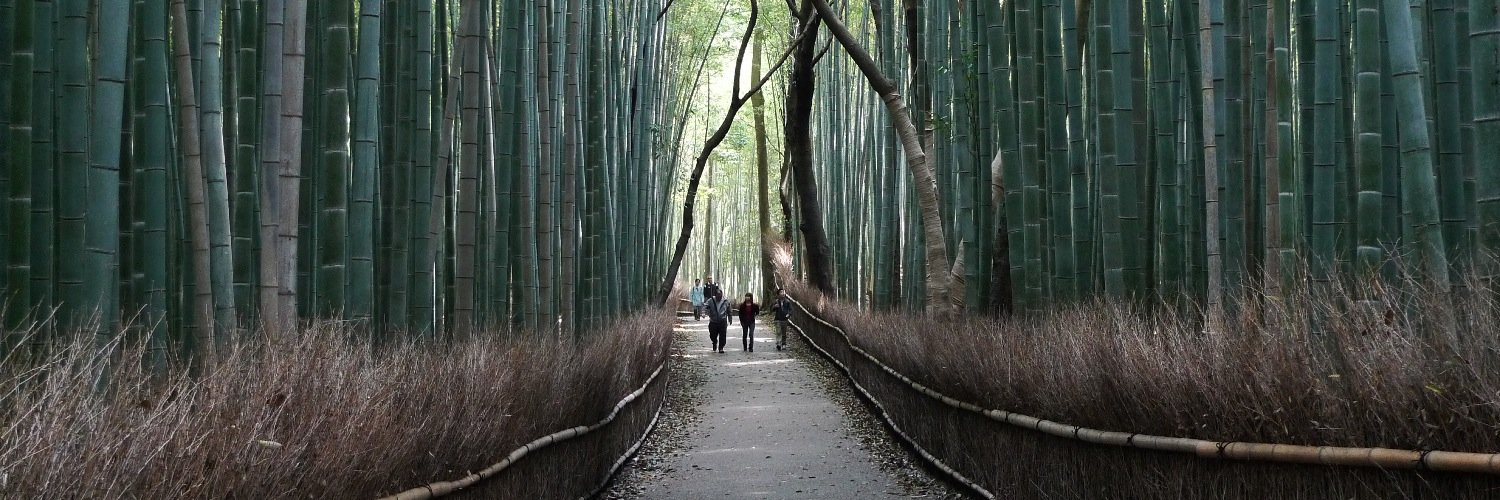 Brenna Fitzgerald banner