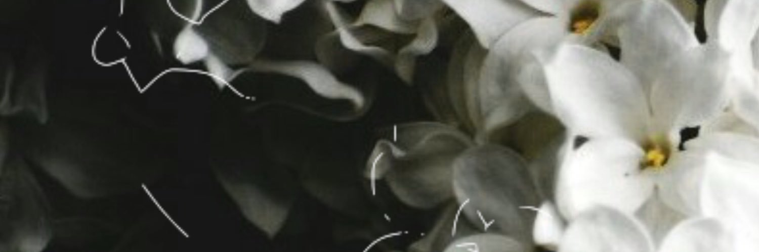 ぶらっくapl banner