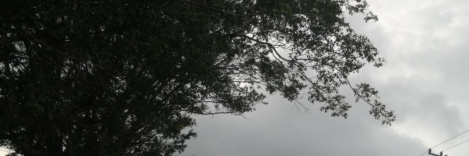 DimePalacios's profile banner image