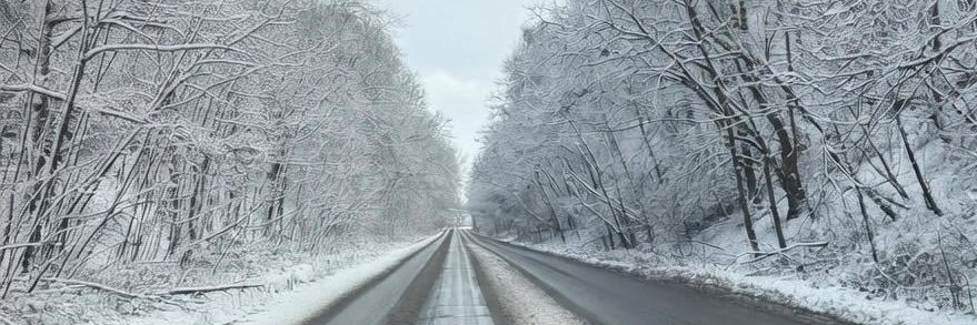 Scott banner