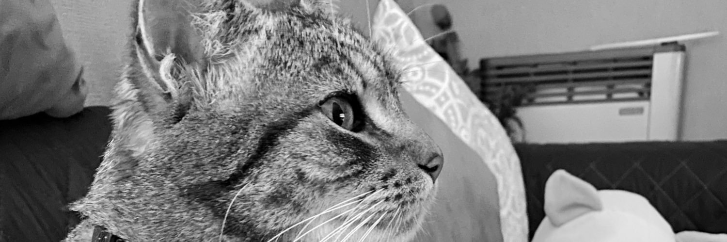 msconstanza_'s profile banner image