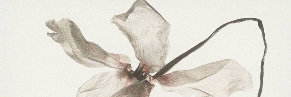 t4nrki's profile banner image