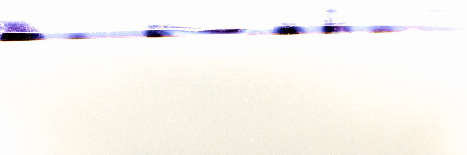 lpaulo91's profile banner image