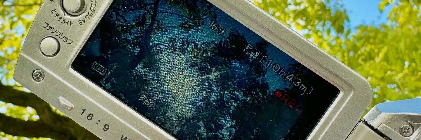 dheeafrz's profile banner image