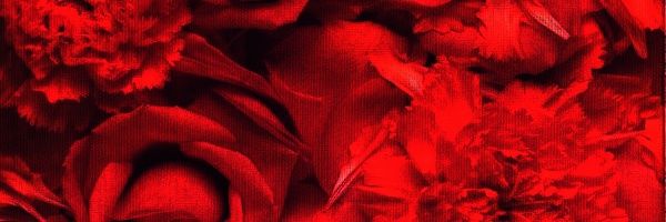 whmsshsshb's profile banner image