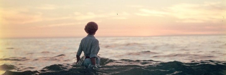 fireleospirit's profile banner image