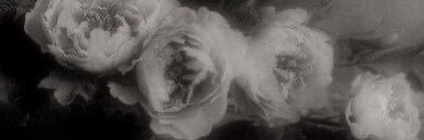 River banner