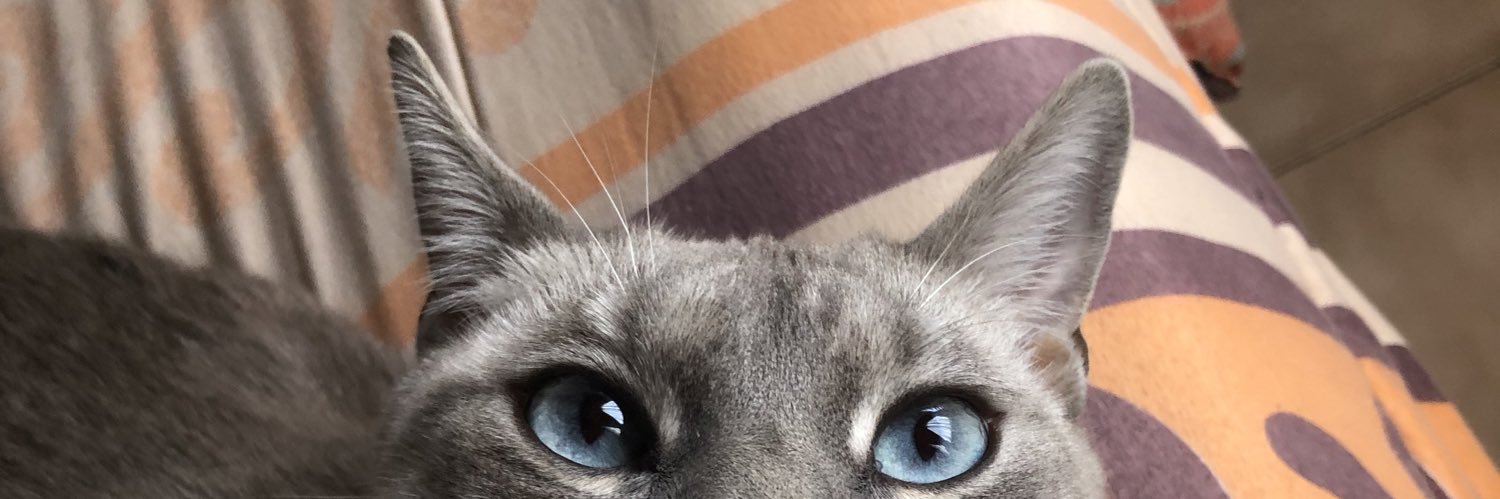 albaasofia's profile banner image
