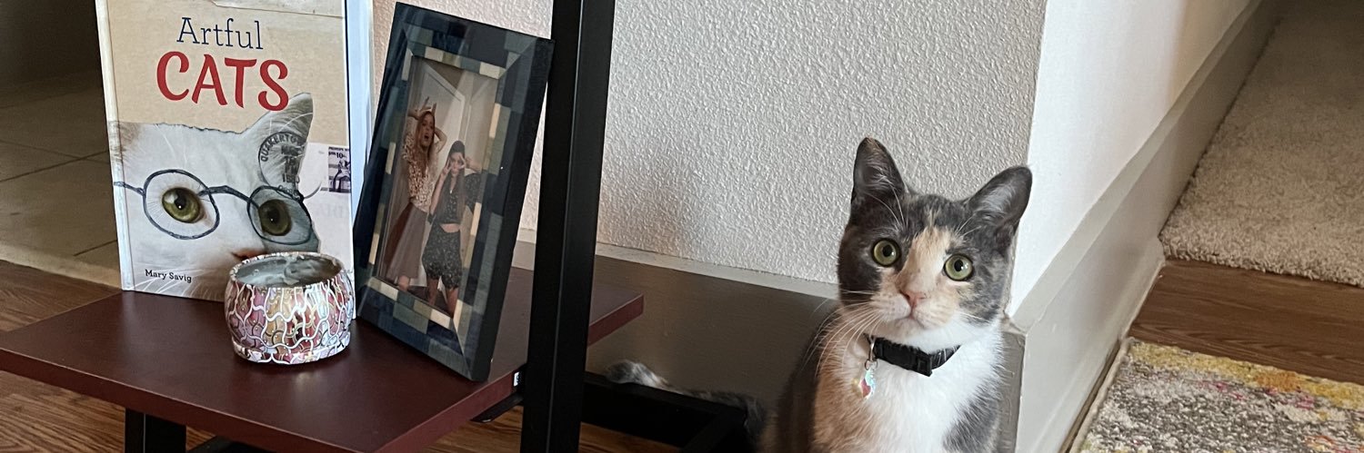 Lo_quacious's profile banner image