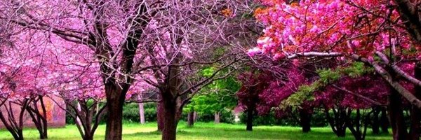 RogerFed133776 Profile Banner