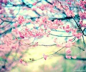 Shian_Coetzer's profile banner image