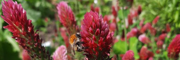 Zora_S_im_Exil Profile Banner