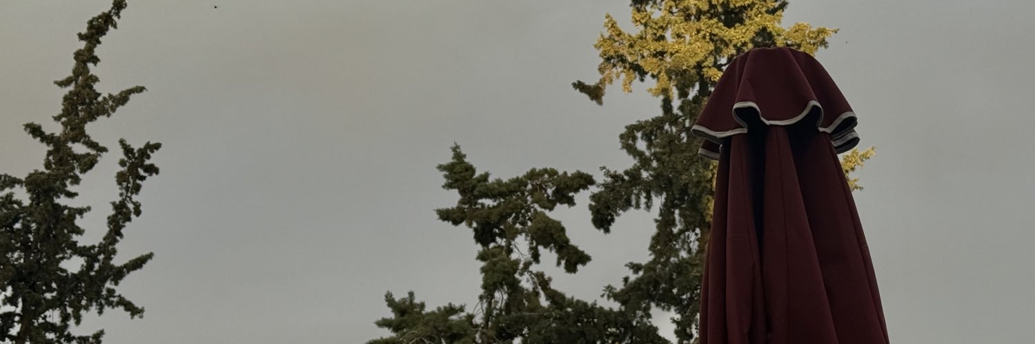 nvmyrants's profile banner image