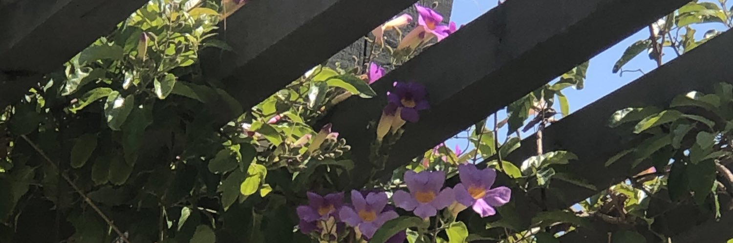 HeadxAndxHeart's profile banner image