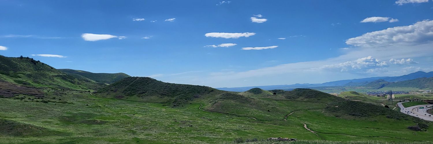 Amaranth Bell banner